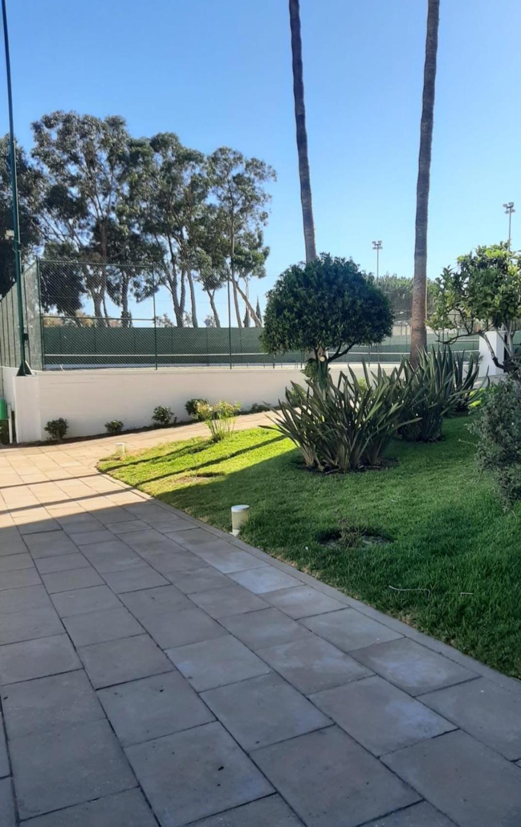 Da Rocha Torre -